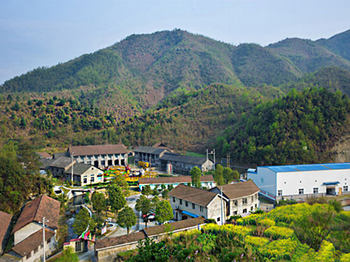 热烈祝贺乐鱼页面在线登录正式上线！